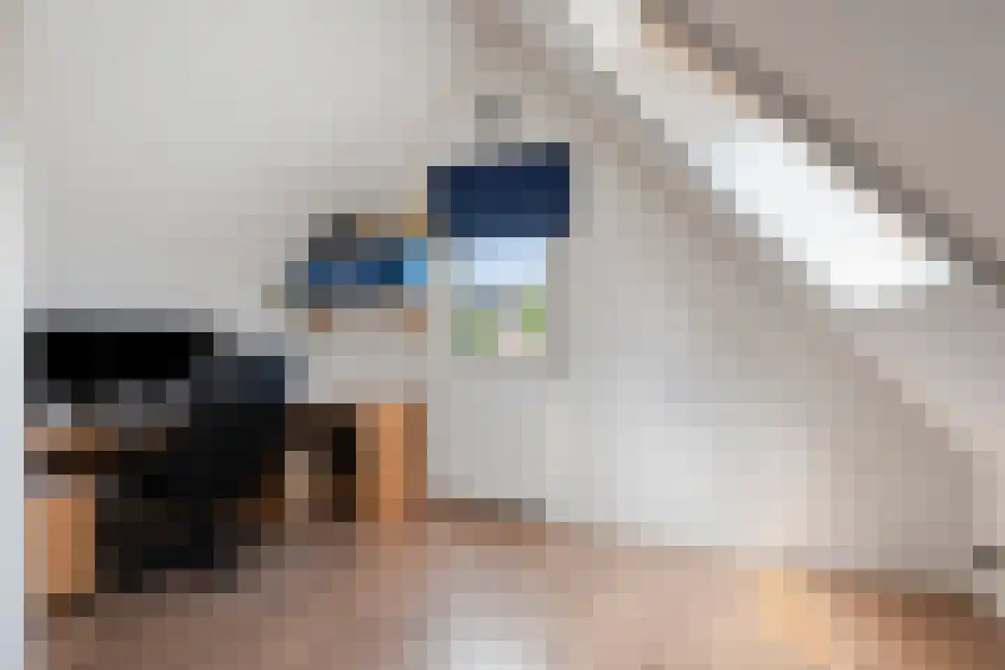 Schoenmakersgilde 37 Dronten thumbnail 34