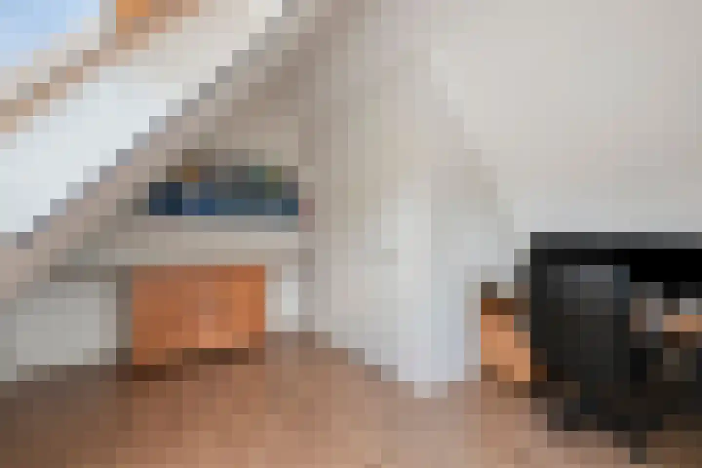 Schoenmakersgilde 37 Dronten thumbnail 35