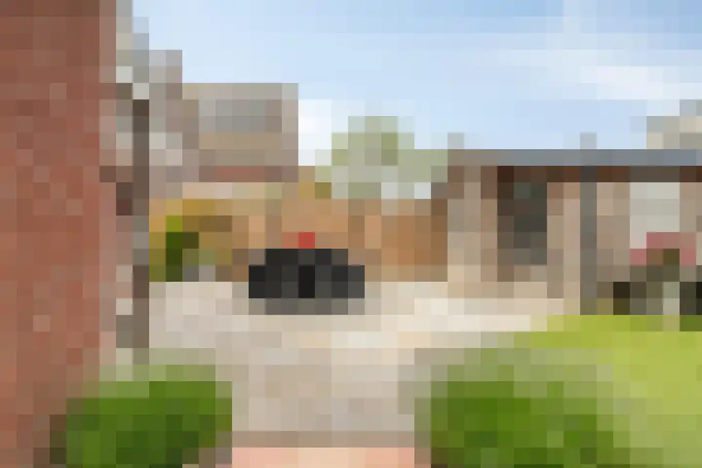 Schoenmakersgilde 37 Dronten thumbnail 42