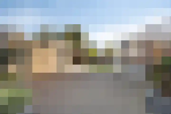 Schoenmakersgilde 39 Dronten thumbnail 37