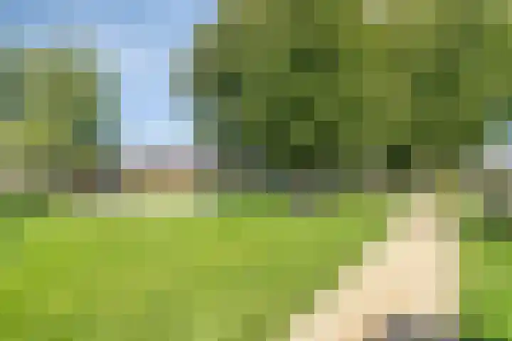 Schoenmakersgilde 39 Dronten thumbnail 46