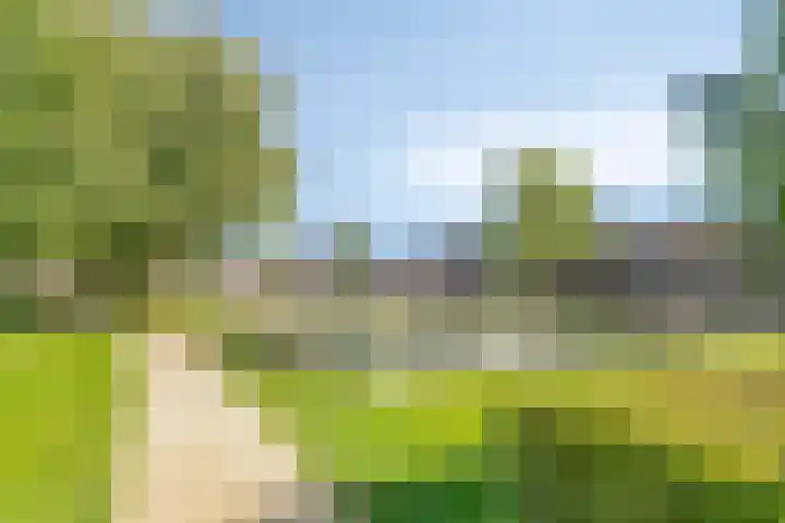 Schoenmakersgilde 39 Dronten thumbnail 47