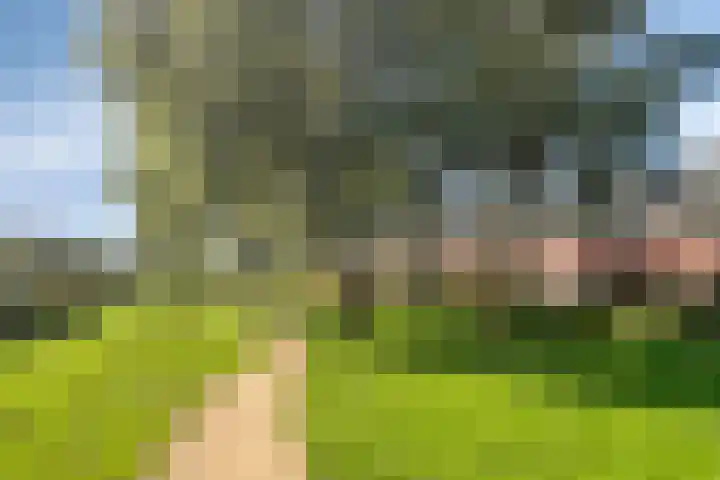 Schoenmakersgilde 39 Dronten thumbnail 48