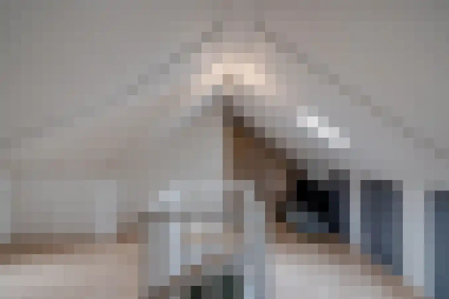 Schoenmakersloot 17 Broek op Langedijk thumbnail 27