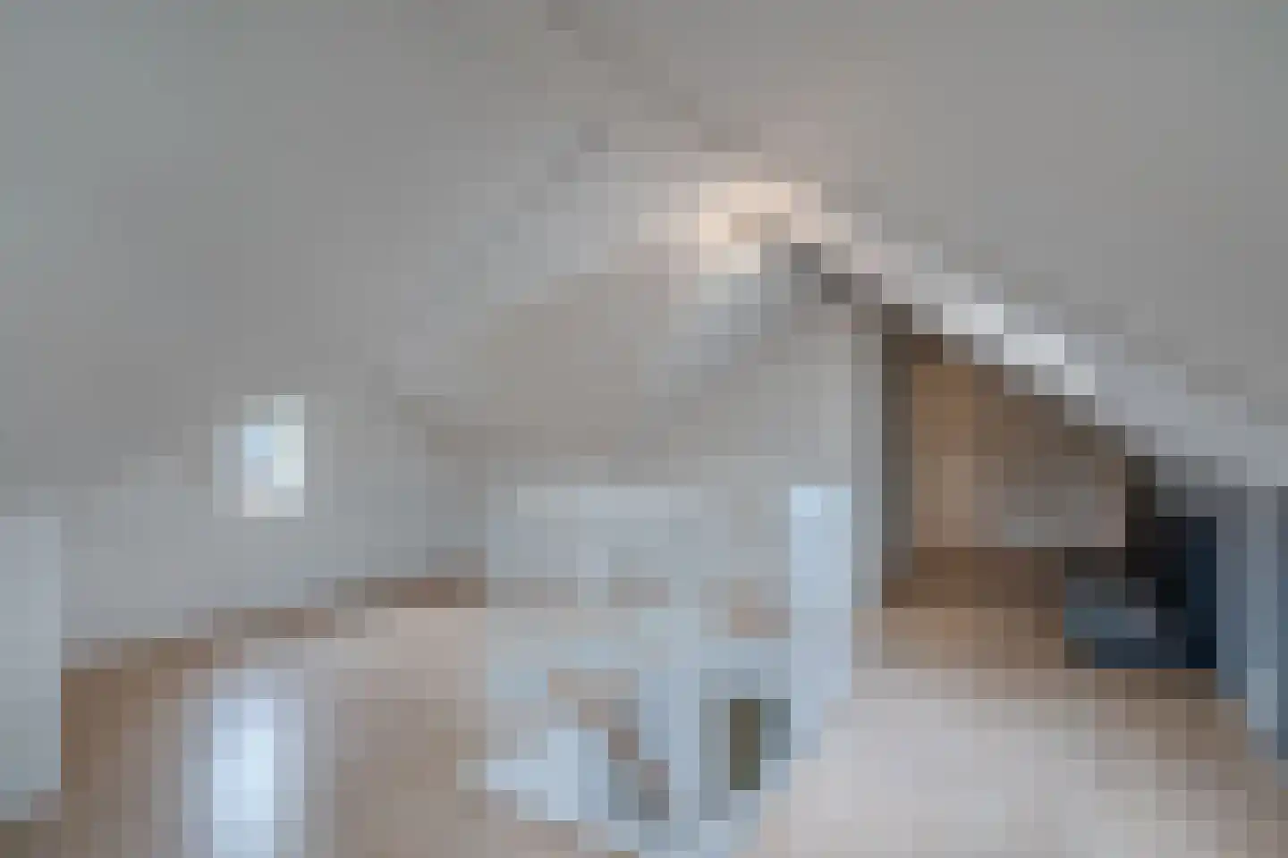 Schoenmakersloot 17 Broek op Langedijk thumbnail 28