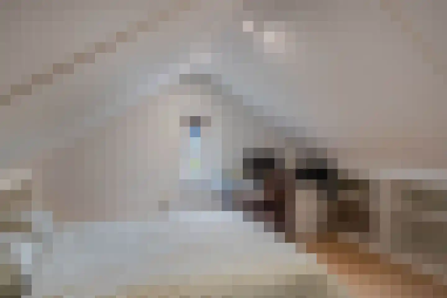Schoenmakersloot 17 Broek op Langedijk thumbnail 30