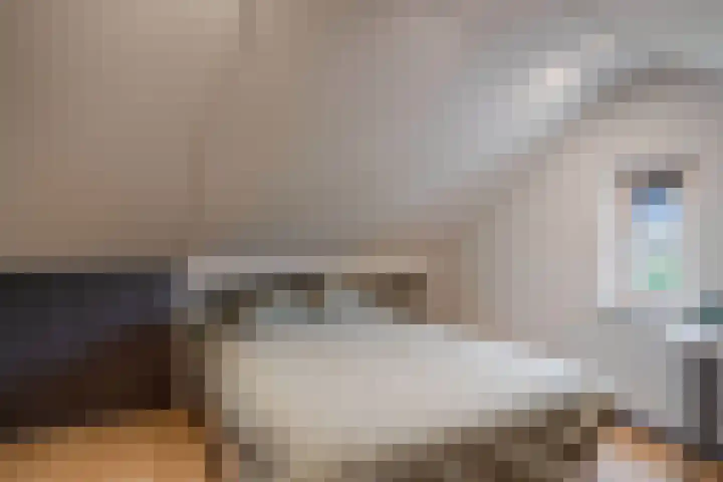Schoenmakersloot 17 Broek op Langedijk thumbnail 31