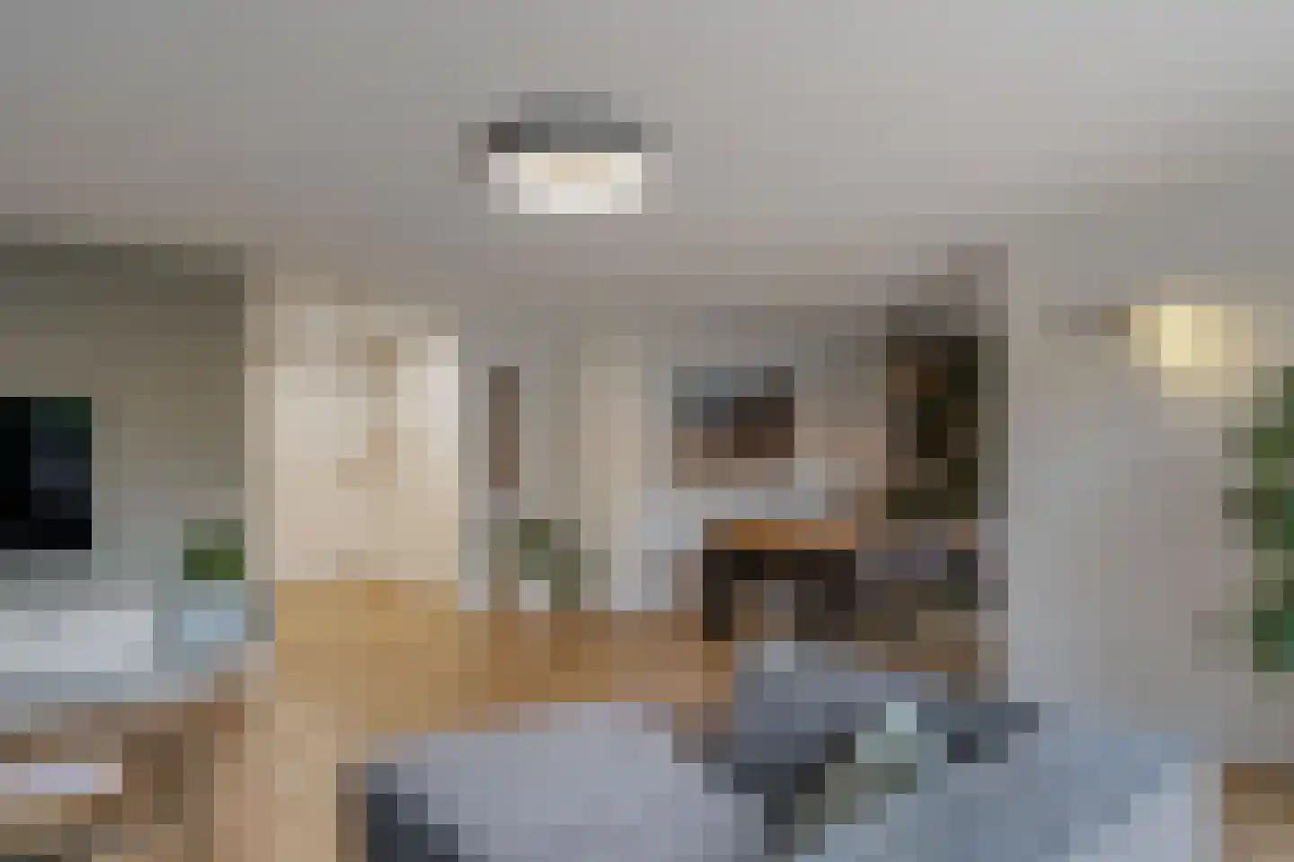 Schoenmakersloot 17 Broek op Langedijk thumbnail 4