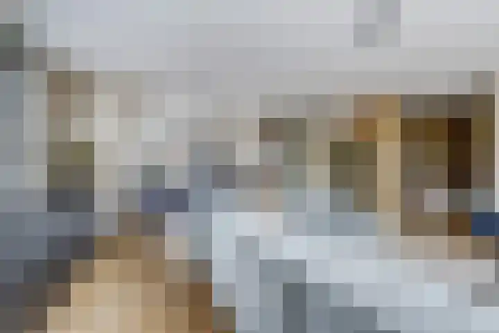 Schoenmakersloot 2 Broek op Langedijk thumbnail 15