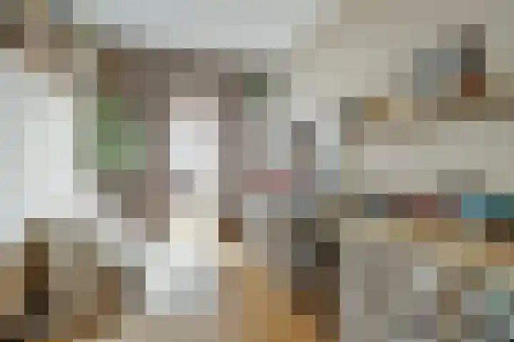 Schoenmakersloot 2 Broek op Langedijk thumbnail 18