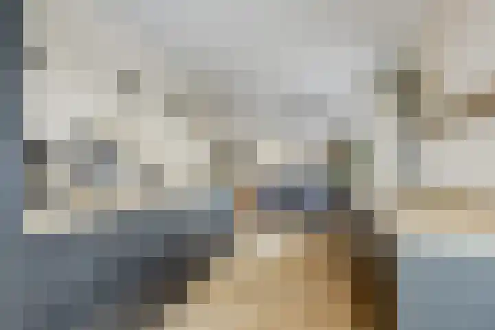 Schoenmakersloot 2 Broek op Langedijk thumbnail 24