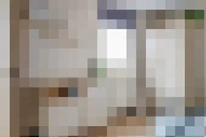 Schoenmakersloot 2 Broek op Langedijk thumbnail 33