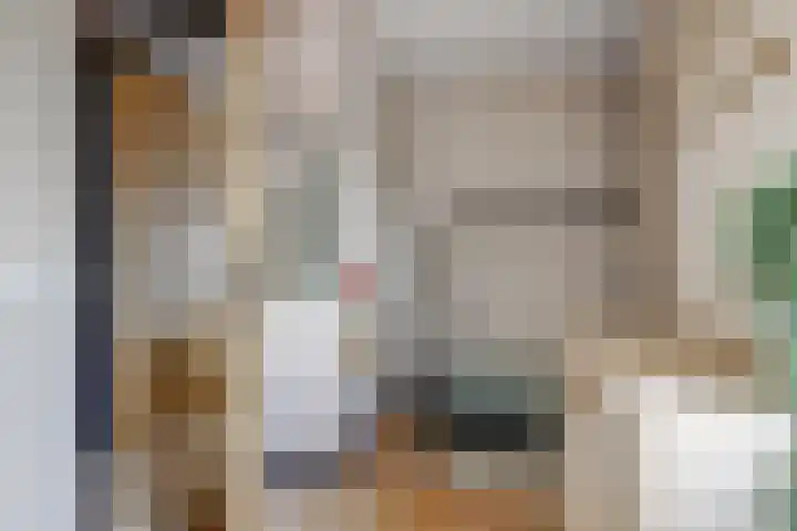 Schoenmakersloot 2 Broek op Langedijk thumbnail 34