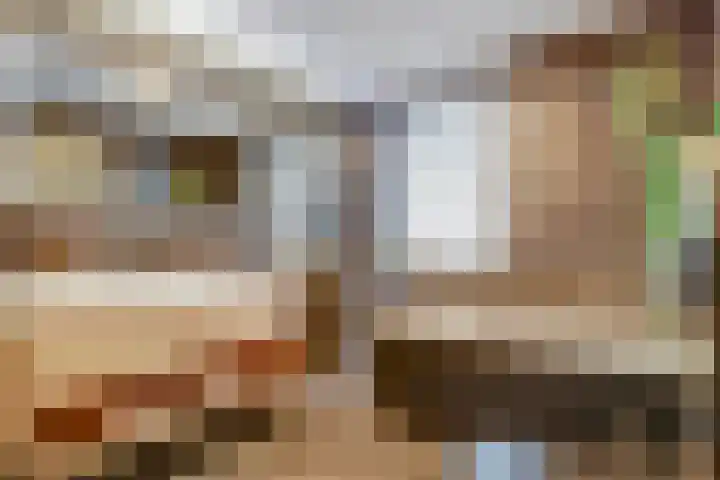 Schoenmakersloot 2 Broek op Langedijk thumbnail 38