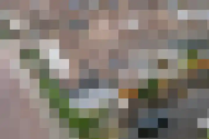 Schoenmakersloot 2 Broek op Langedijk thumbnail 4