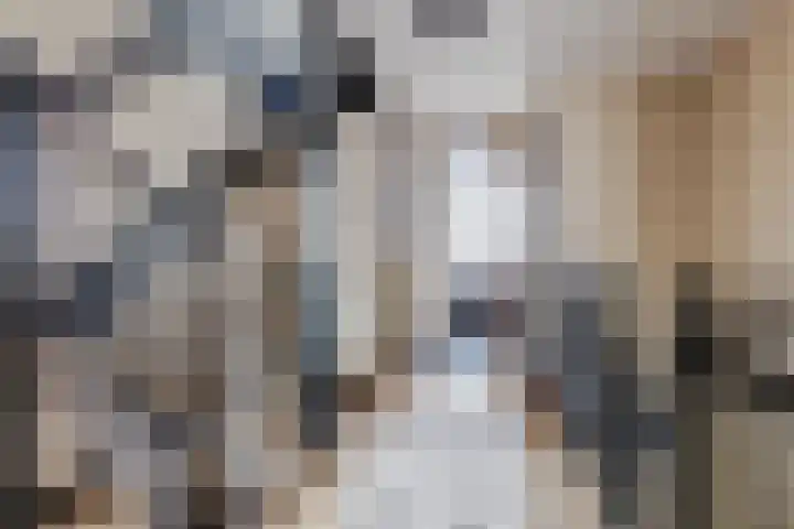 Schoenmakersloot 2 Broek op Langedijk thumbnail 40