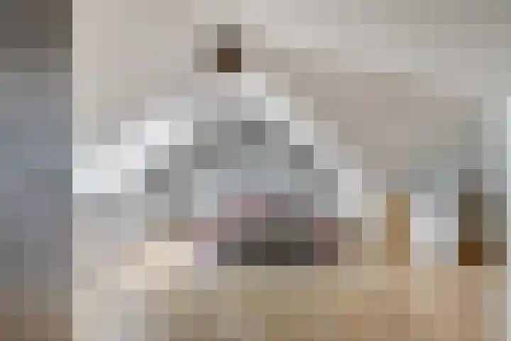 Schoenmakersloot 2 Broek op Langedijk thumbnail 42