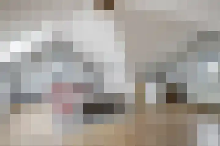 Schoenmakersloot 2 Broek op Langedijk thumbnail 43