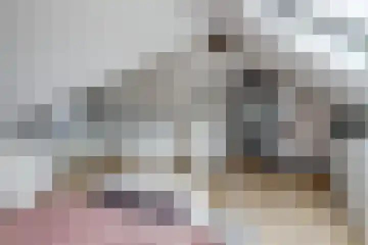 Schoenmakersloot 2 Broek op Langedijk thumbnail 44