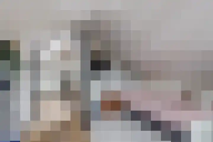 Schoenmakersloot 2 Broek op Langedijk thumbnail 45