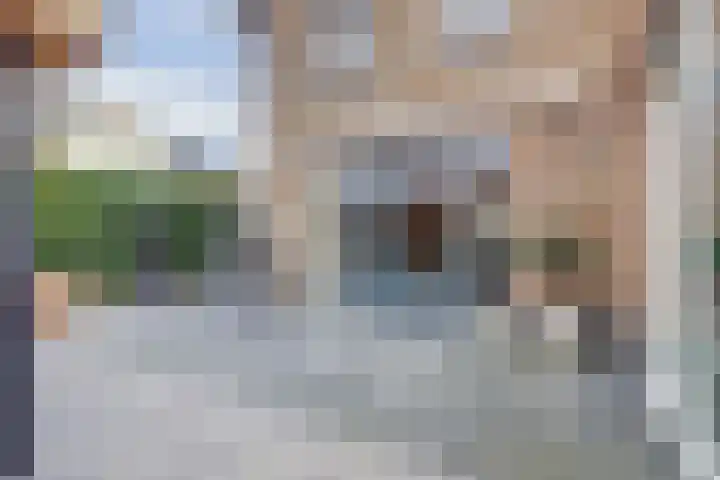 Schoenmakersloot 2 Broek op Langedijk thumbnail 53