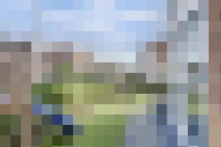 Schoenmakersloot 2 Broek op Langedijk thumbnail 55