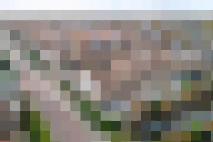 Schoenmakersloot 2 Broek op Langedijk thumbnail 56