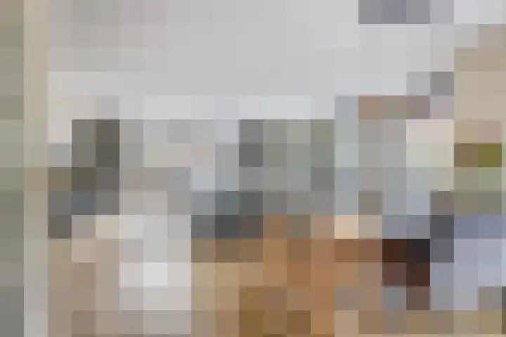Schoenmakersloot 2 Broek op Langedijk thumbnail 9