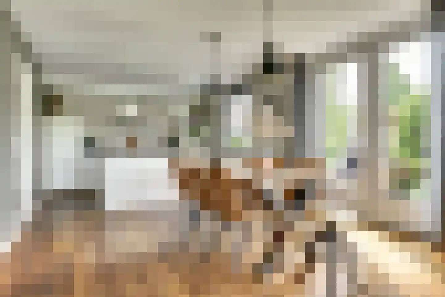 Schoenmakersloot 22 Broek op Langedijk thumbnail 13