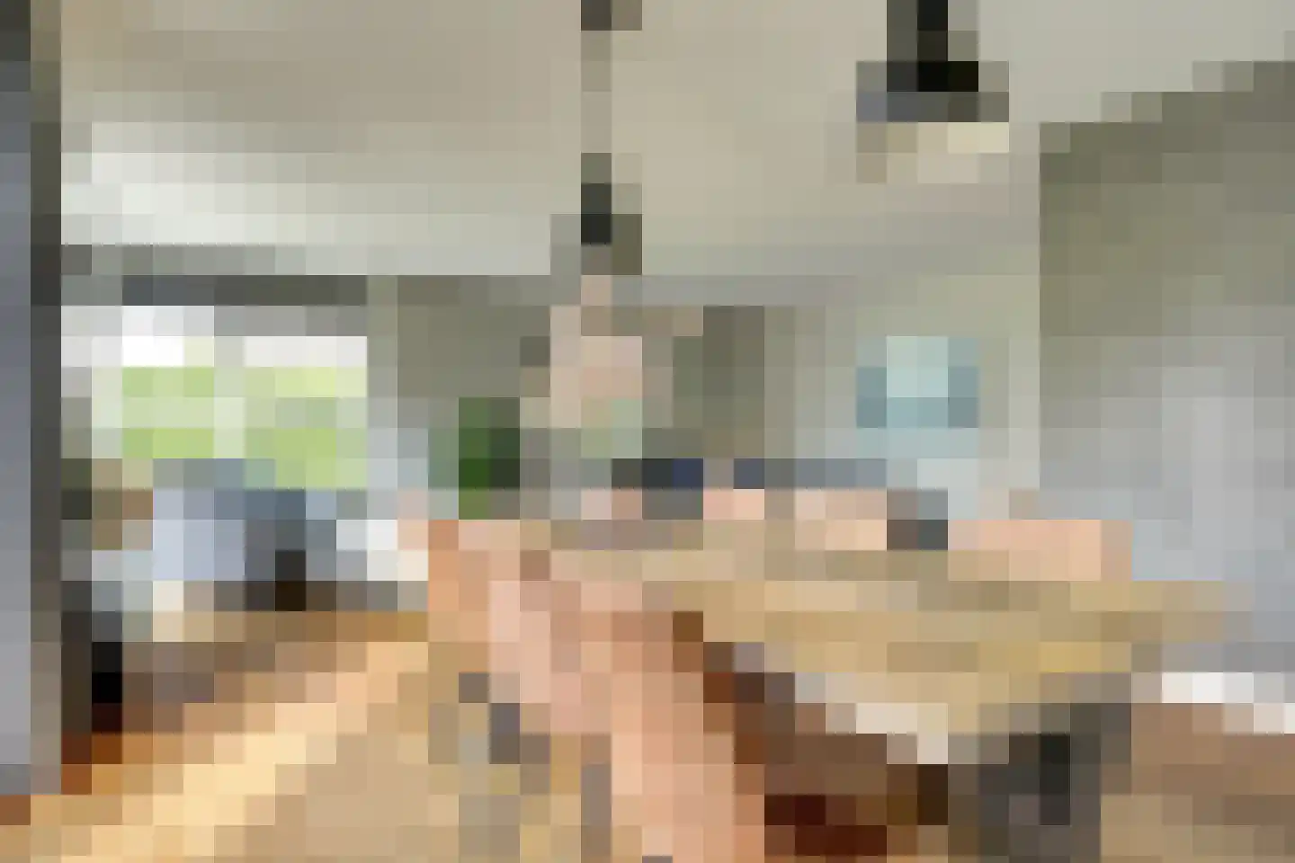 Schoenmakersloot 22 Broek op Langedijk thumbnail 14