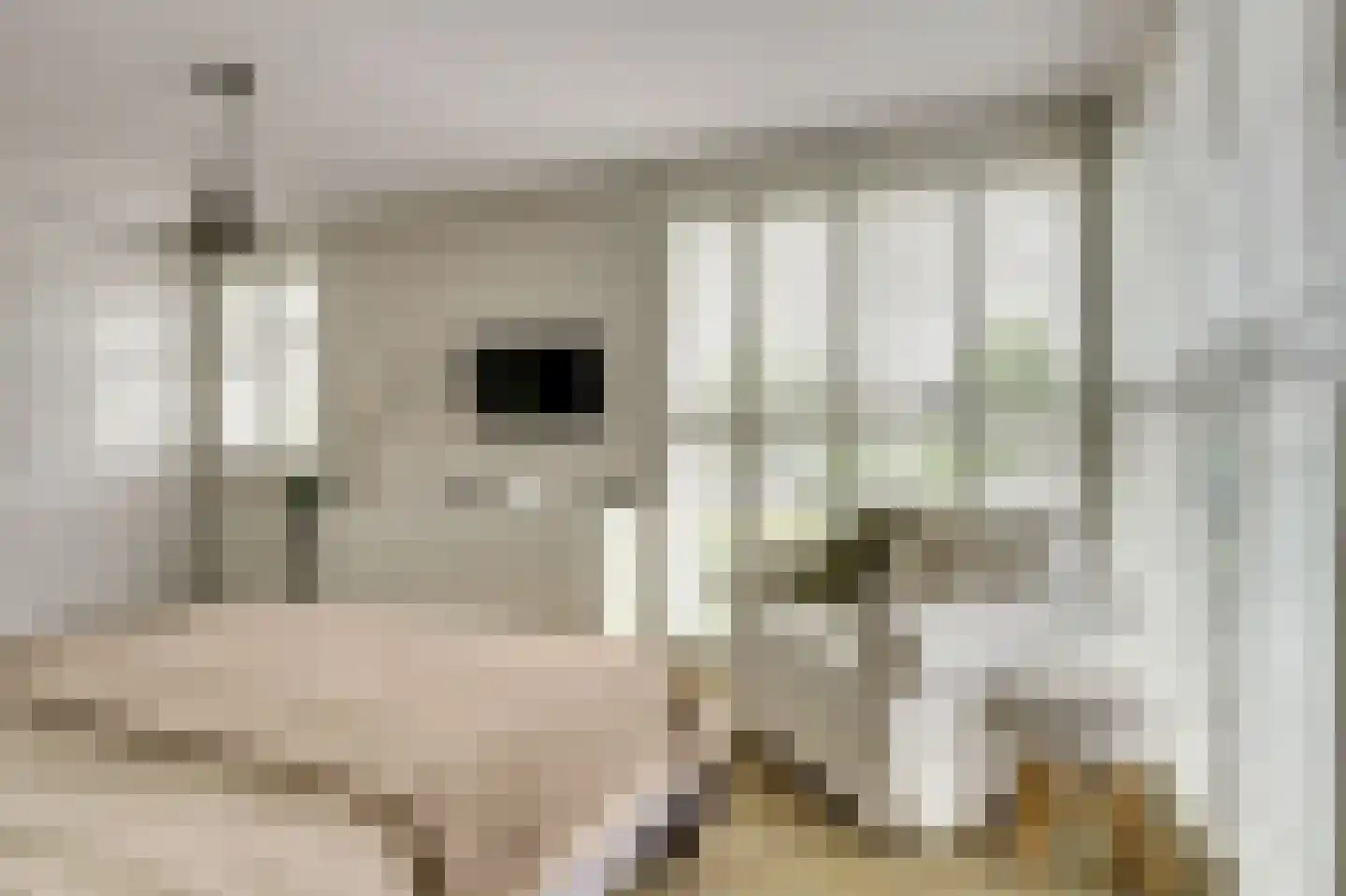 Schoenmakersloot 22 Broek op Langedijk thumbnail 27