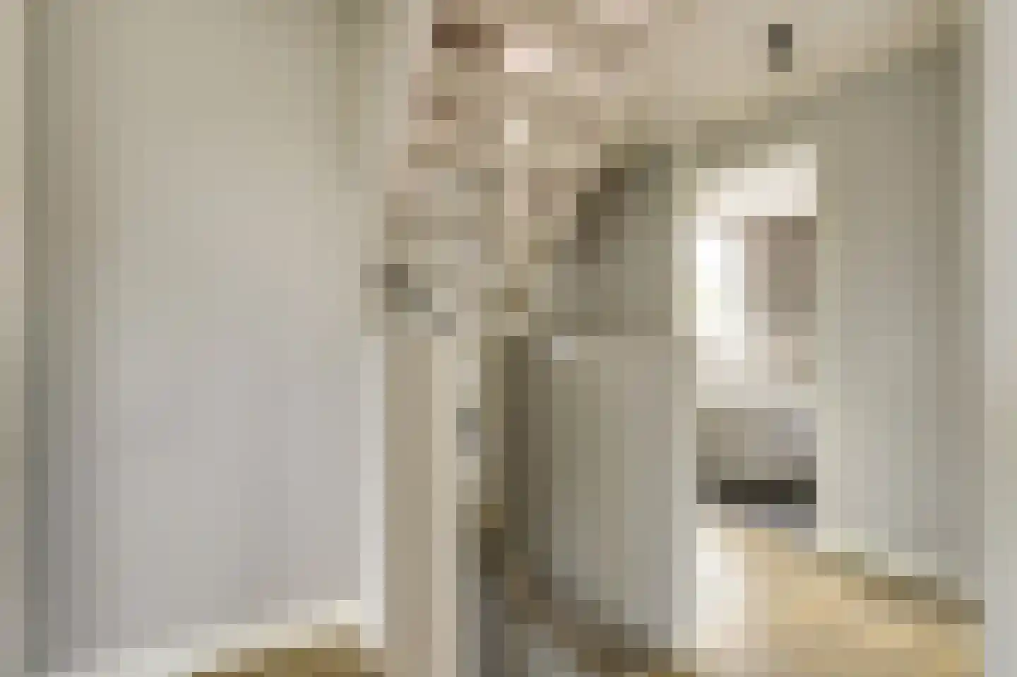 Schoenmakersloot 22 Broek op Langedijk thumbnail 36