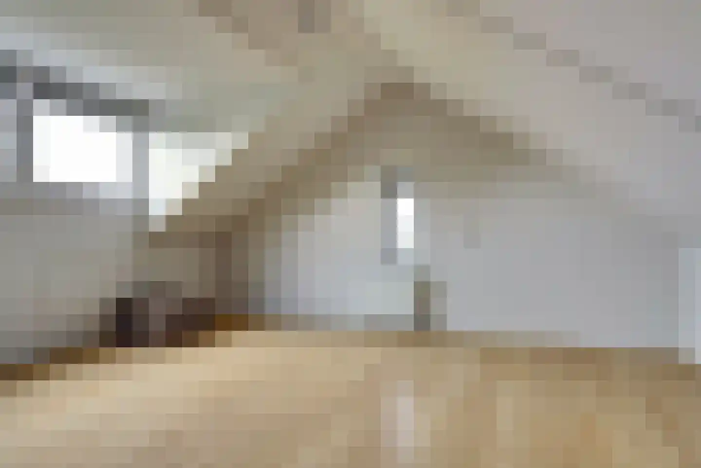 Schoenmakersloot 22 Broek op Langedijk thumbnail 40