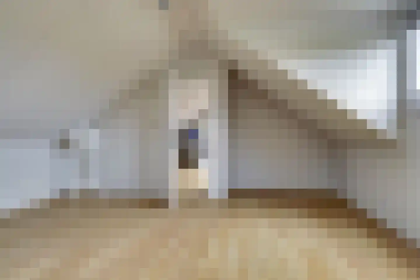 Schoenmakersloot 22 Broek op Langedijk thumbnail 41