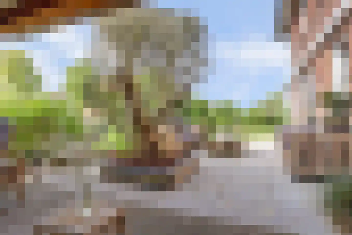 Schoenmakersloot 22 Broek op Langedijk thumbnail 46
