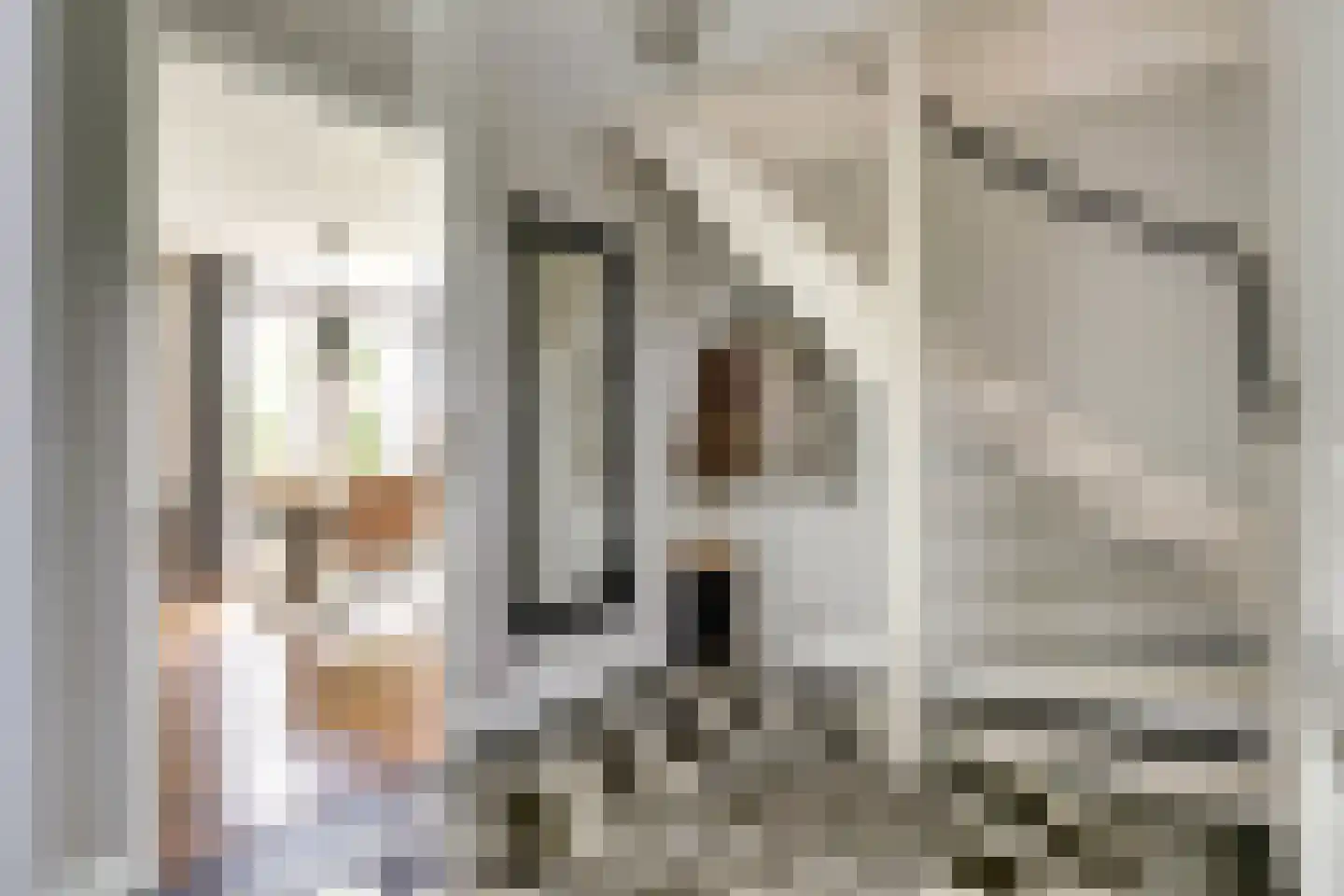 Schoenmakersloot 22 Broek op Langedijk thumbnail 6