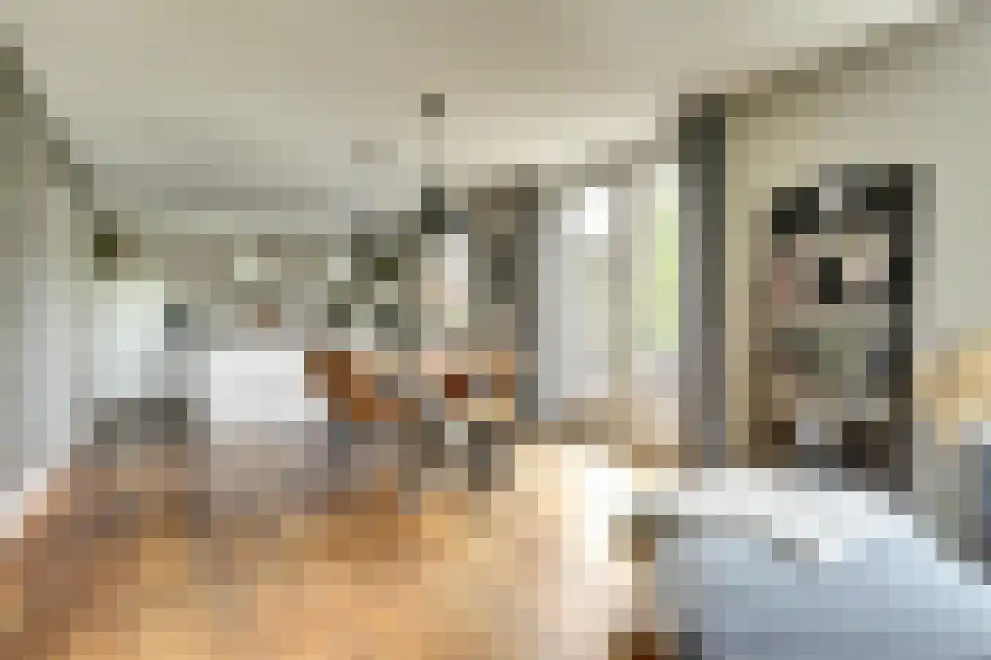Schoenmakersloot 22 Broek op Langedijk thumbnail 8