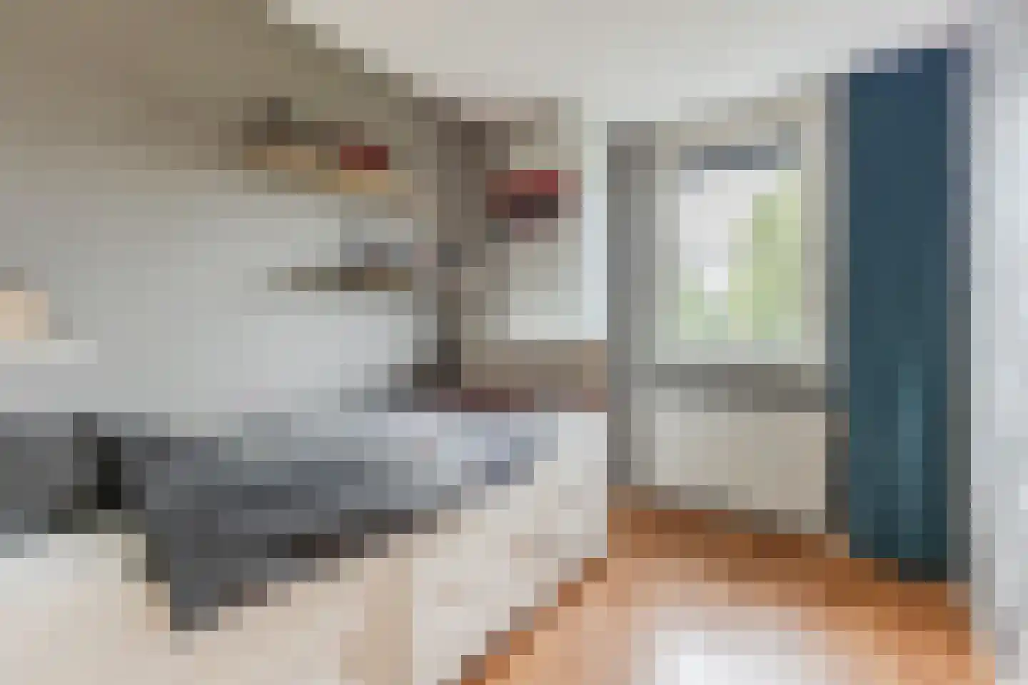 Schoenmakersloot 26 Broek op Langedijk thumbnail 20