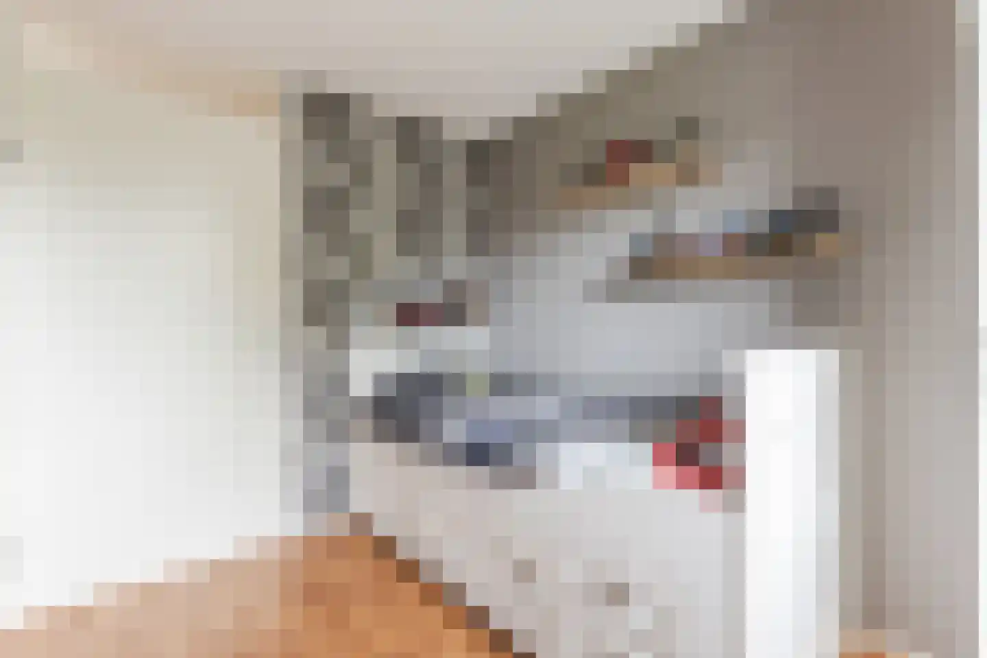 Schoenmakersloot 26 Broek op Langedijk thumbnail 21