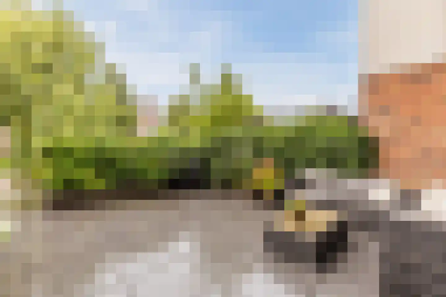 Schoenmakersloot 26 Broek op Langedijk thumbnail 34