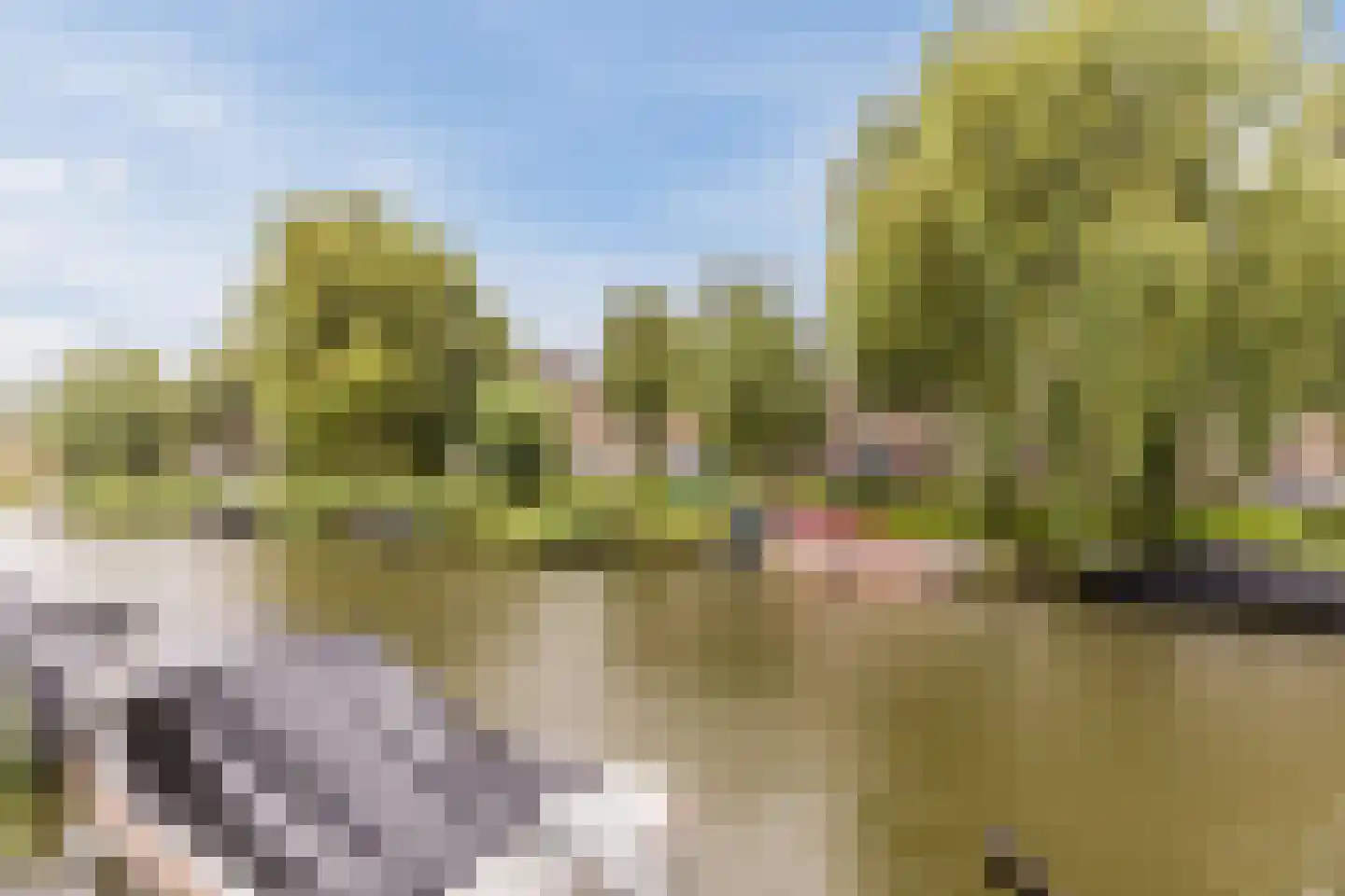 Schoenmakersloot 26 Broek op Langedijk thumbnail 37