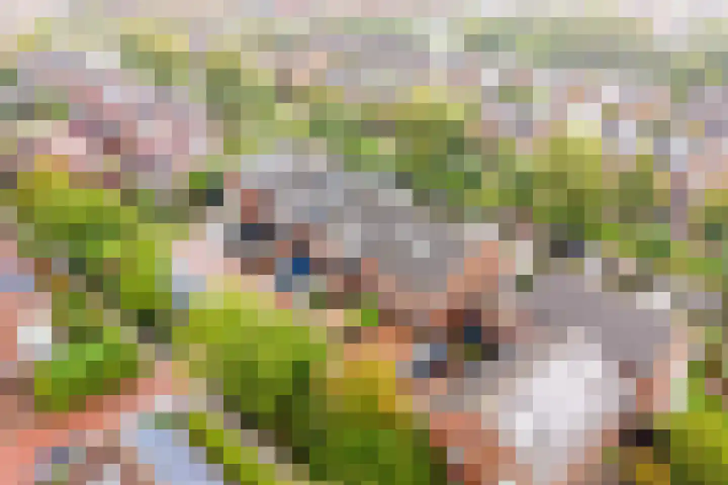 Schoenmakersloot 26 Broek op Langedijk thumbnail 40