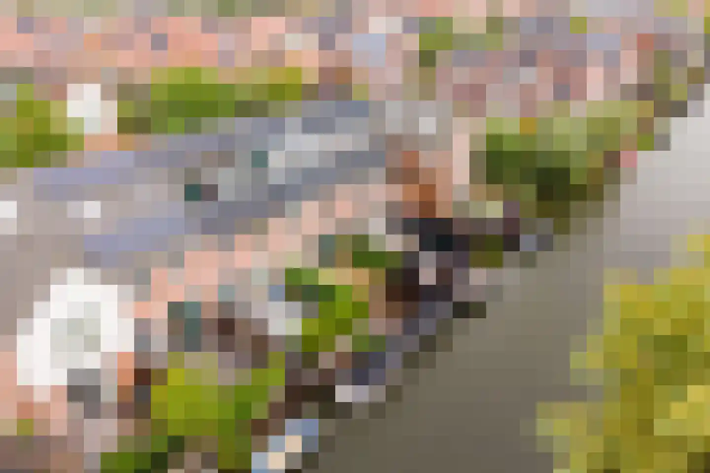 Schoenmakersloot 26 Broek op Langedijk thumbnail 41