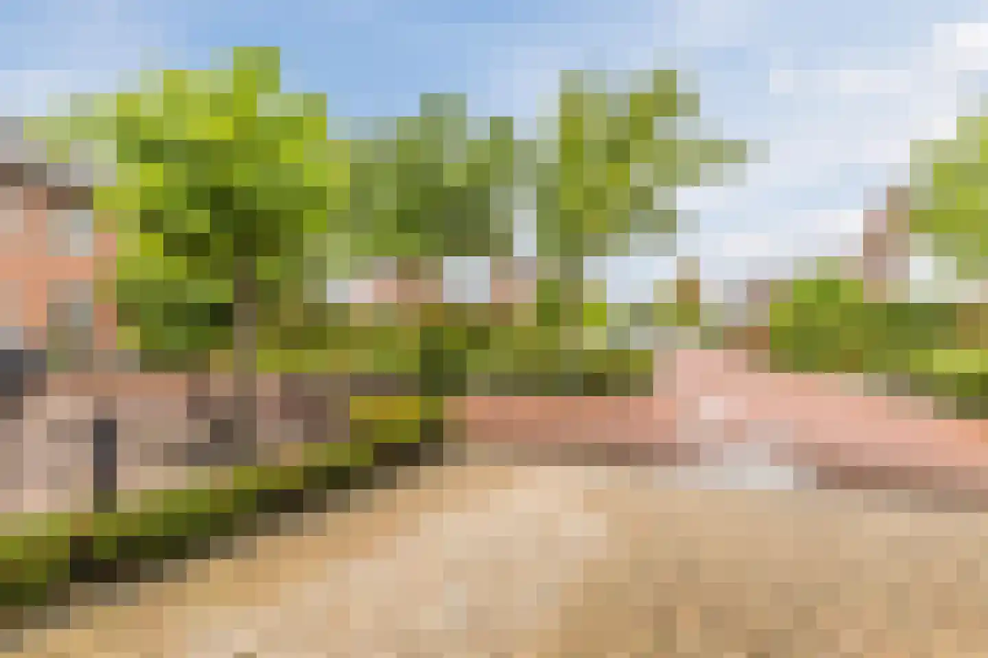 Schoenmakersloot 26 Broek op Langedijk thumbnail 45