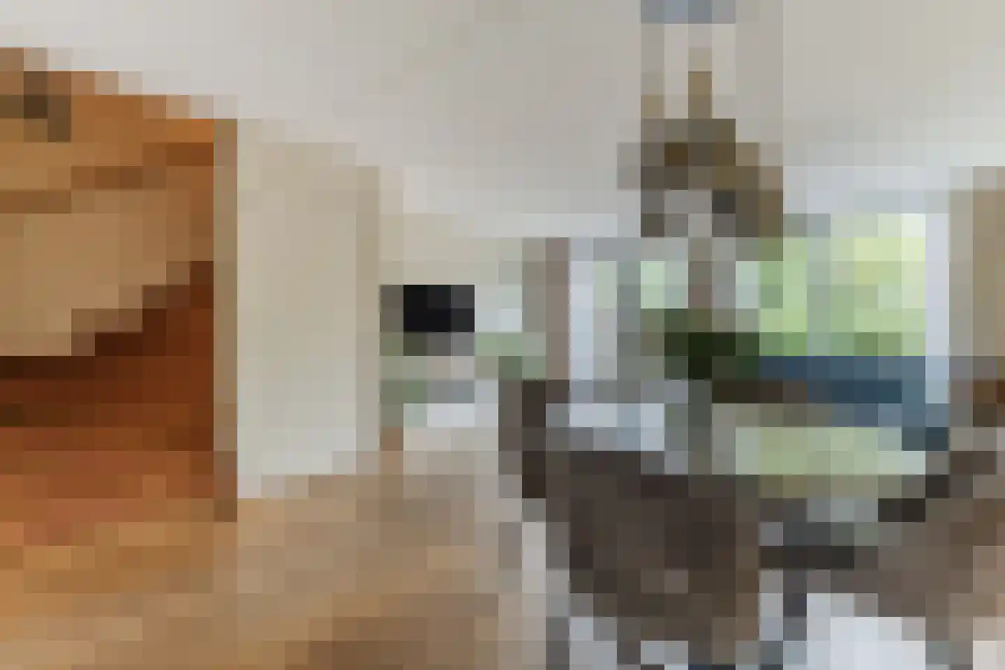 Schoenmakersloot 26 Broek op Langedijk thumbnail 5