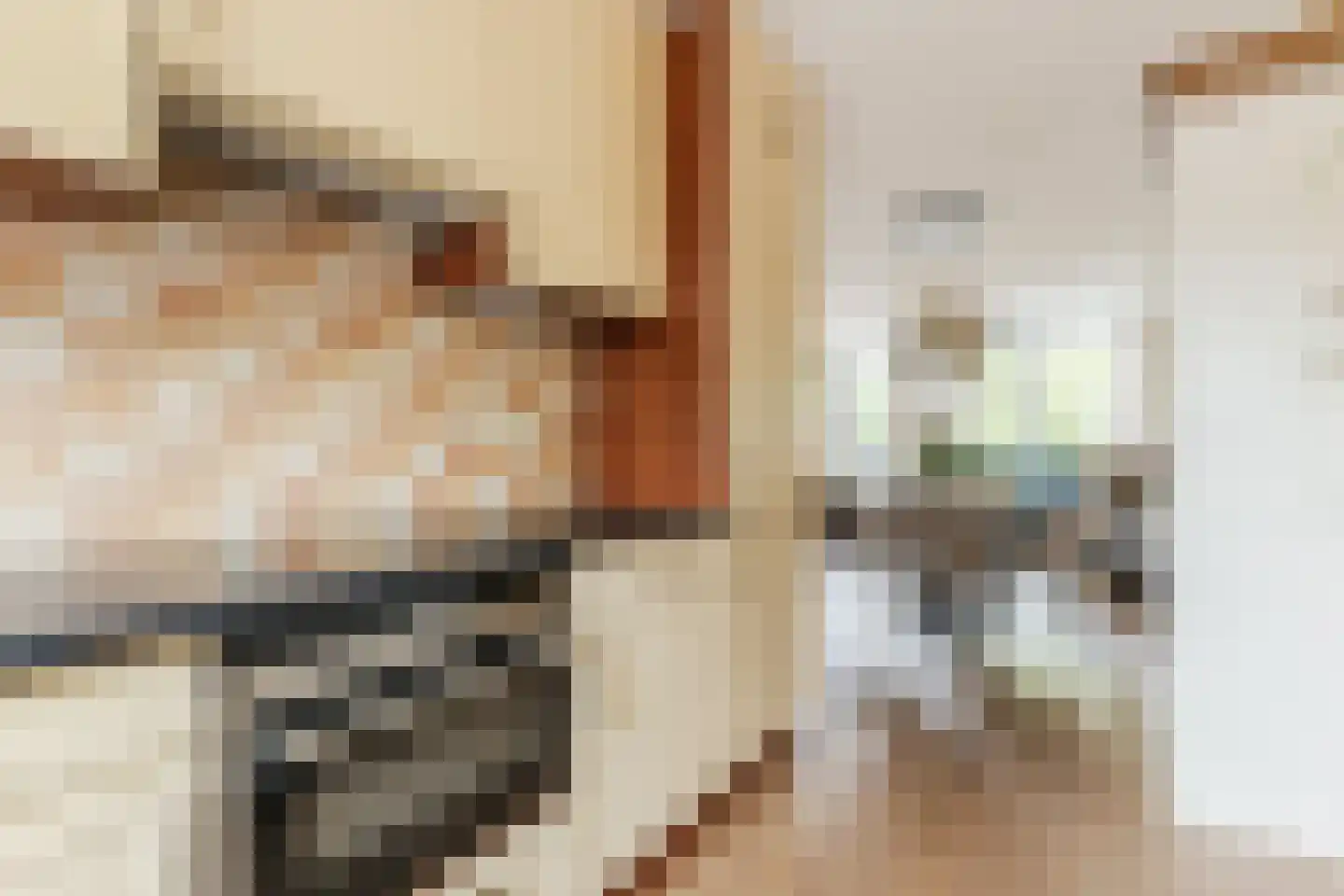 Schoenmakersloot 26 Broek op Langedijk thumbnail 9