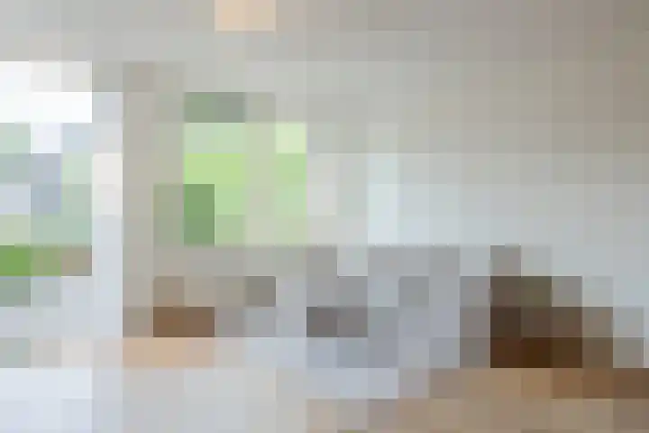 Schoenmakersloot 30 Broek op Langedijk thumbnail 13