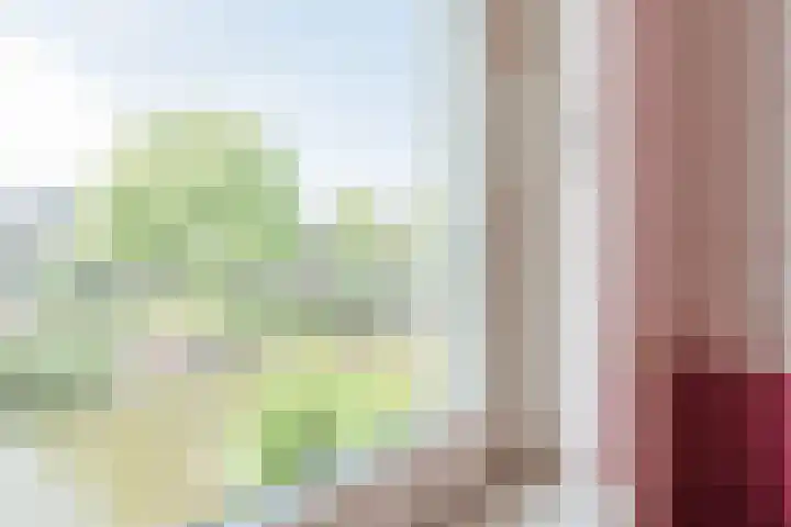 Schoenmakersloot 30 Broek op Langedijk thumbnail 41