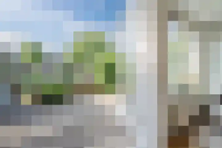 Schoenmakersloot 30 Broek op Langedijk thumbnail 48