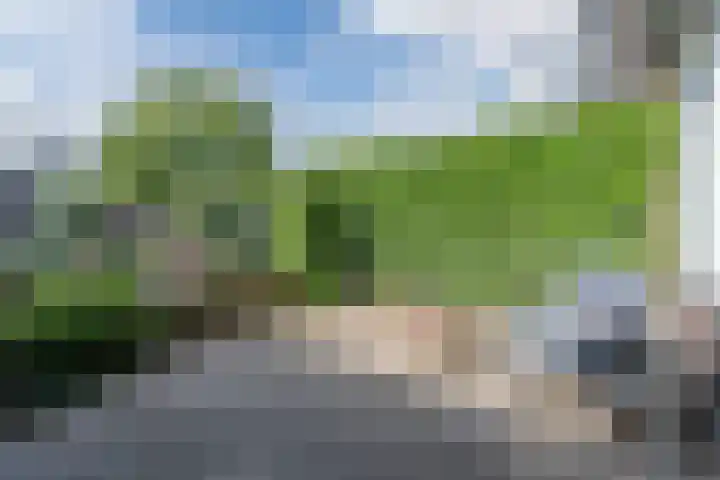 Schoenmakersloot 30 Broek op Langedijk thumbnail 51